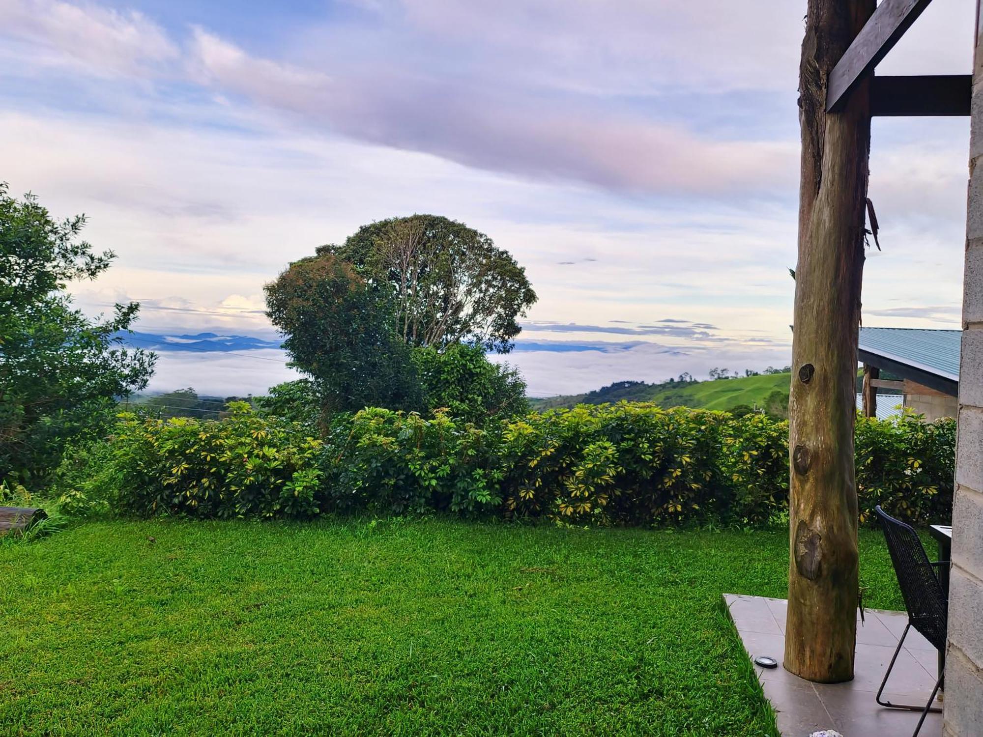 Espectacular Cabana Moderna De Montana + Bosque Nuboso +Wifi Zarcero Екстериор снимка